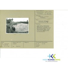 Overlaat Tolkamer 1959 F0000037